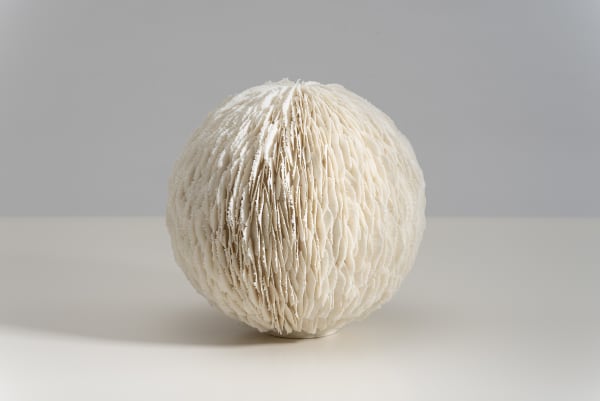 Jennifer Hickey, Hope