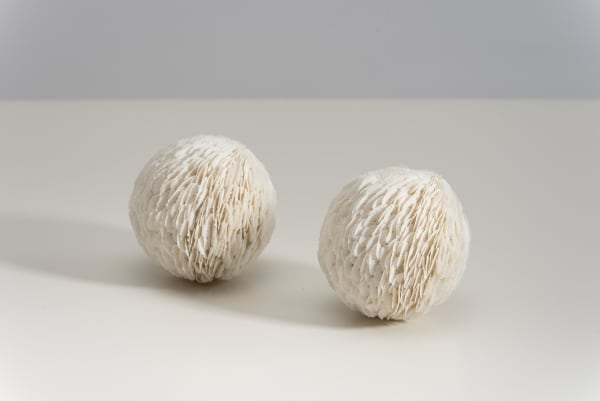 Jennifer Hickey, Seedlings