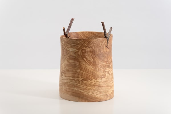 Mark Hanvey, Beech 'Pith' Vessel With Grafted Twigs