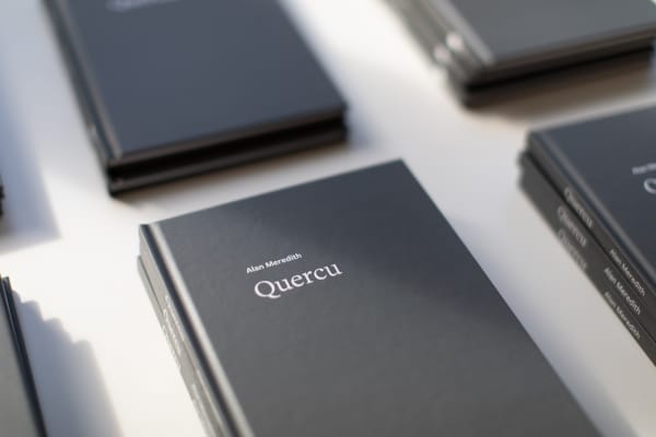 Alan Meredith, QUERCU Exhibition Catalogue, 2024