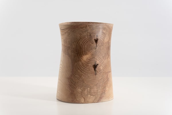 Mark Hanvey, Ash 'Pith' Vessel With Twigs In The Wall
