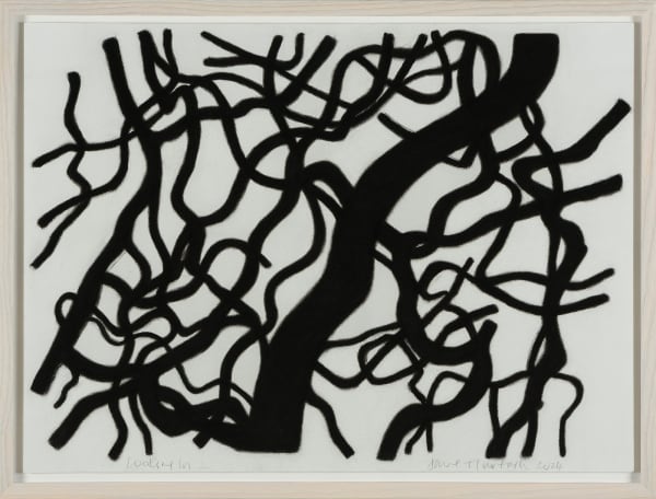 Jane Murtagh, Looking In (1)