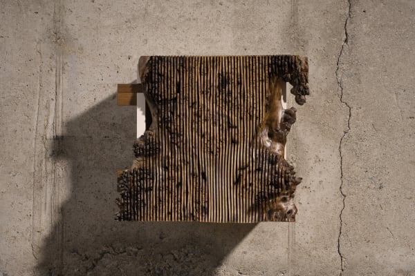 Alan Meredith, Curio Cabinet V, 2023