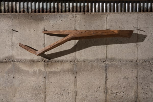 Alan Meredith, Residual Geometry Quercus IX, 2024