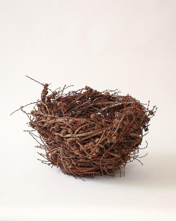 Joe Hogan, Large Larch Nest