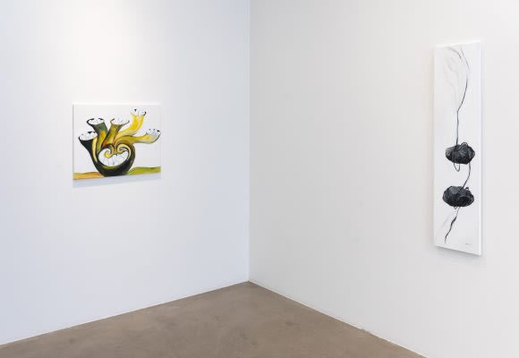 Marfa X Seta 23 Scaled 580X400 C