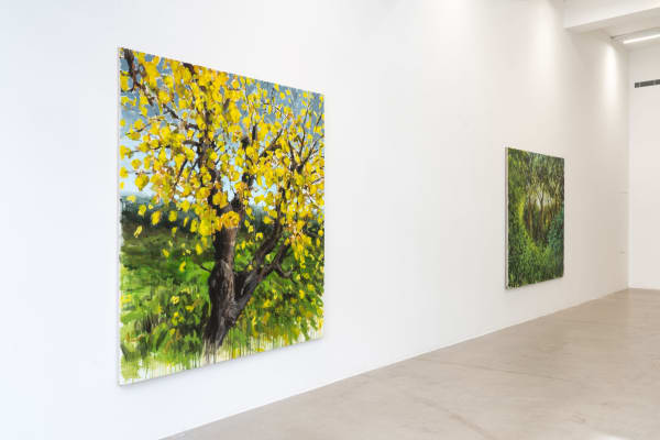 Omar Fakhoury, The Forest, 2024 Installation view