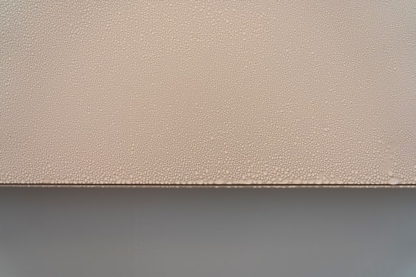 Caline Aoun - Are androids covered with electric dew?