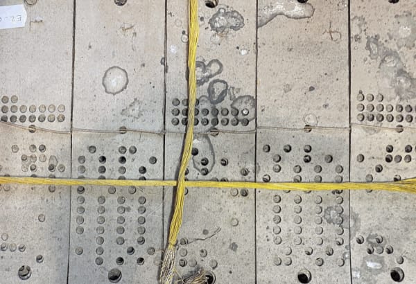 Majd Abdel Hamid: Daydreamers