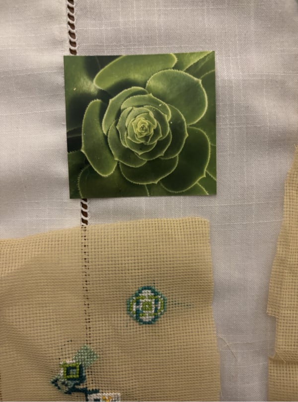 Majd Abdel Hamid, Resonance, 2025, installation including small-scale embroideries, an album containing pictures of a succulent plant, and objects displayed in a chest of drawers, variable sizes, commissioned by Mathaf. Courtesy of the artist