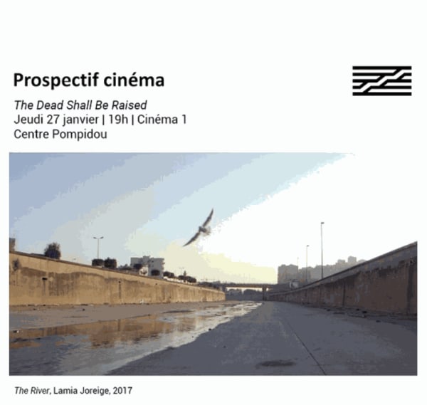 Rania Stephan and Lamia Joreige's films projection at Centre Pompidou