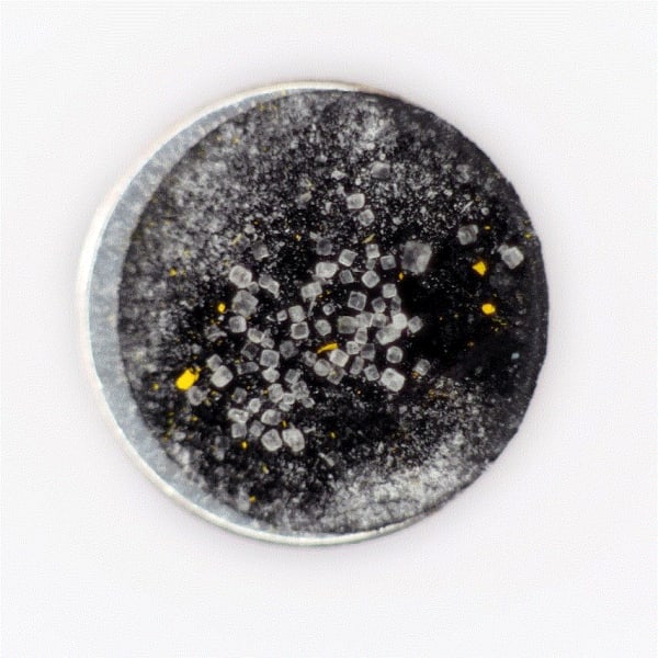 Parallel Event: Talk | On Collapsing Clouds of Gas and Dust