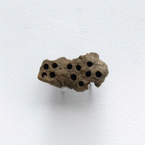 Stéphanie Saadé at La Criée Centre d’Art Contemporain