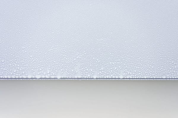 Caline Aoun, detail from Dreaming of Electric Dew 1, 2023. Courtesy of the artist and Marfa' Projects.