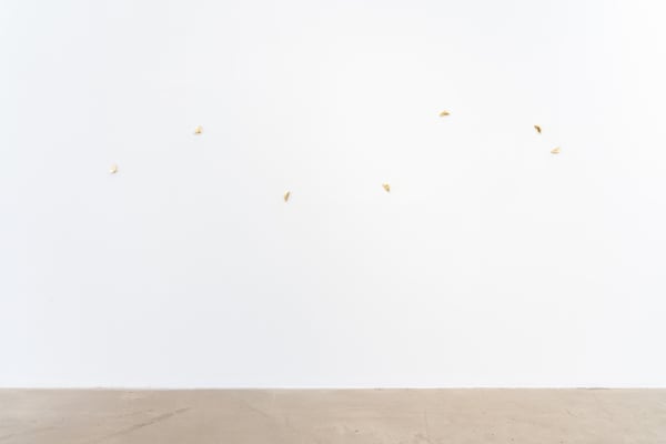 Exhibition view from A Curse That Turns Gold Into Ladybugs, 2025