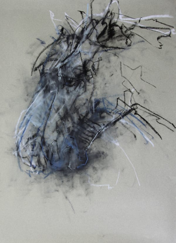 Horse, 2011 chalk on paper 29 x 21 inches