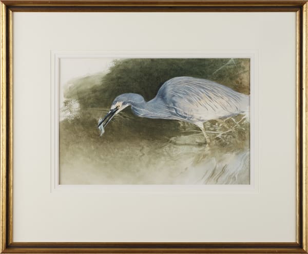Raymond Ching, A White Faced Heron, Matuku-moana, 1986