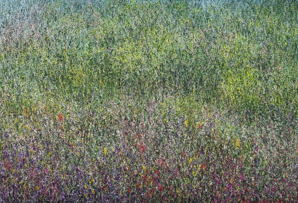 Hyeeun KANG Line-piece 2515, 2025 Oil on panel 89.4x130.3cm