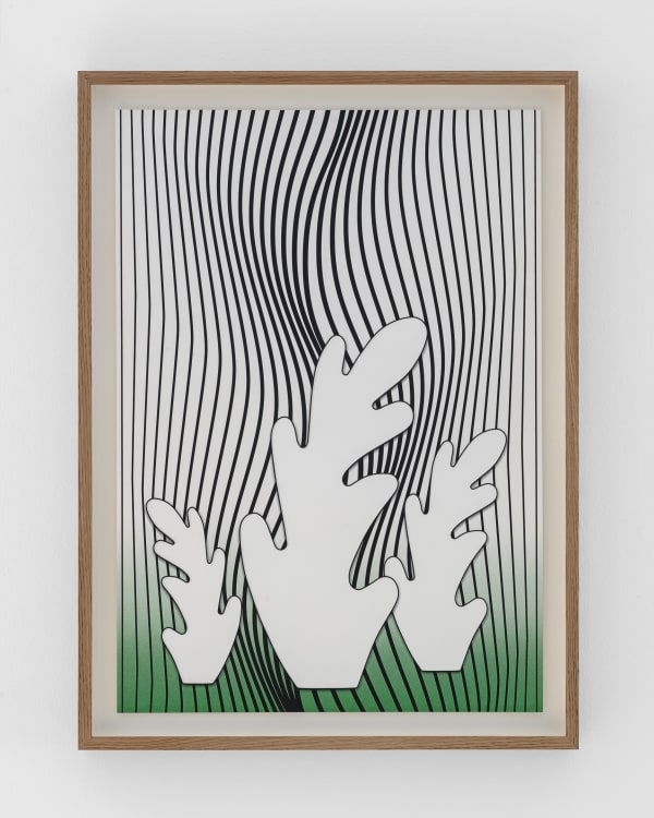 Claudia Comte, The Dancing Algae with Three Leaves, 2023