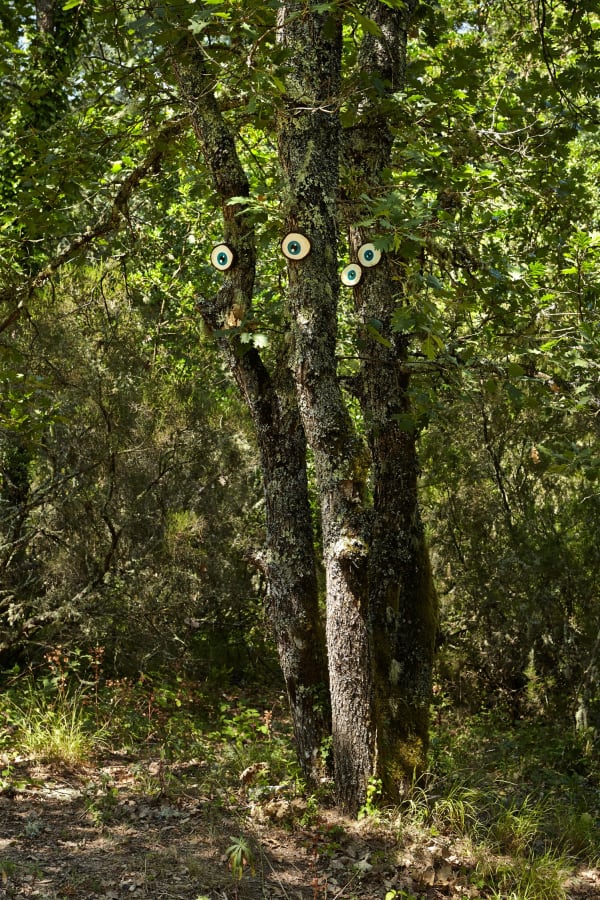 Vidya Gastaldon, Mini Brothers (Oak), 2015