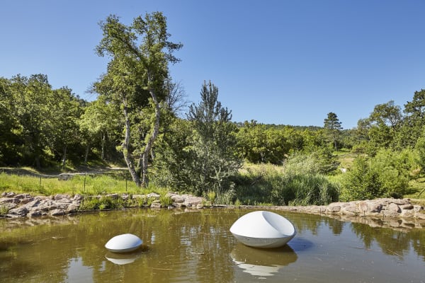 Marta Pan, Lentilles flottantes, 1994