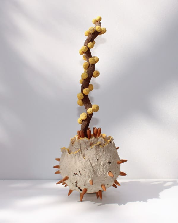 Loren Eiferman - Seed Pod, 2023