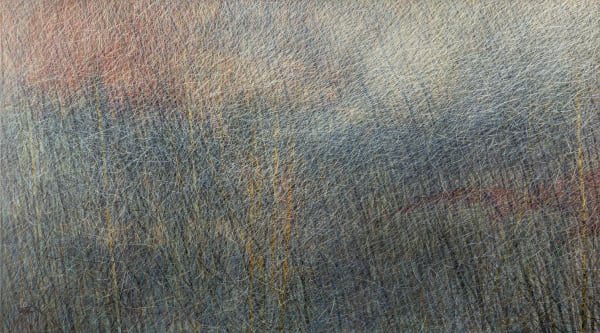 Seyed Taher Mousavi, Nature 2, 2022