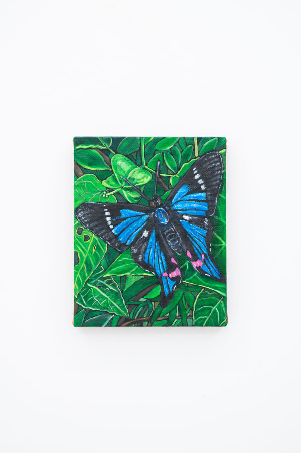 2022 From Nature To Spirit Thomas Brambilla Installation View 17