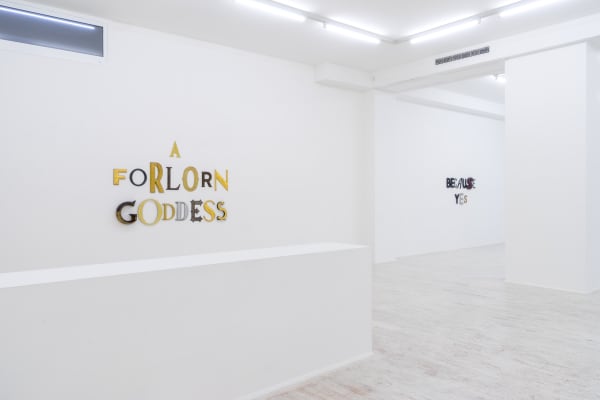 Pierson Installation Dsc09567