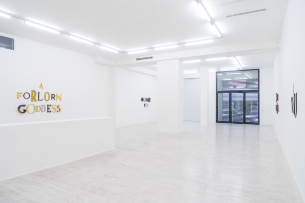 Pierson Installation Dsc09639