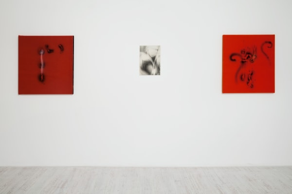 2016 Thomas Helbig Thomas Brambilla Installation View 2