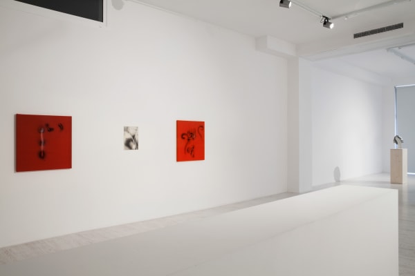 2016 Thomas Helbig Thomas Brambilla Installation View 7