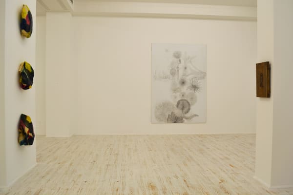 2013 Too Big Or Not Too Big Thomas Brambilla Installation View 3