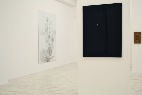 2013 Too Big Or Not Too Big Thomas Brambilla Installation View 5