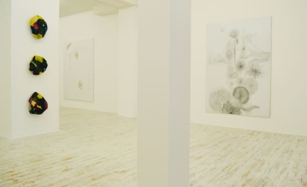 Thomas Brambilla Too Big Or Not Too Big 2013 Installation View 11