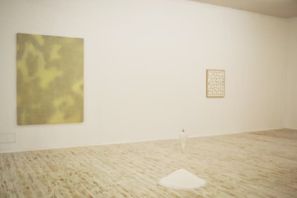 Thomas Brambilla Too Big Or Not Too Big 2013 Installation View 13