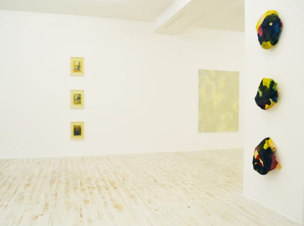 Thomas Brambilla Too Big Or Not Too Big 2013 Installation View 14