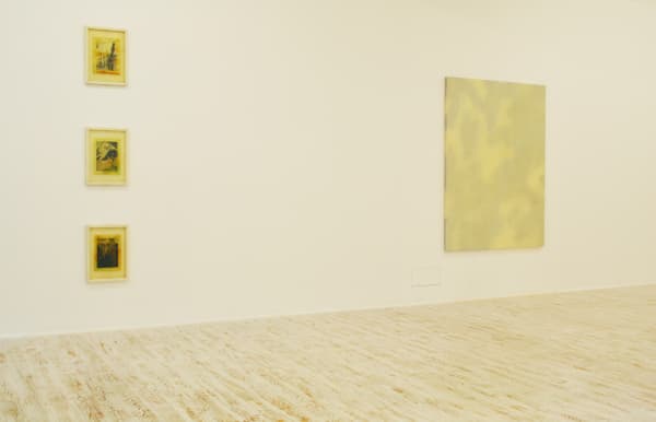 Thomas Brambilla Too Big Or Not Too Big 2013 Installation View 6