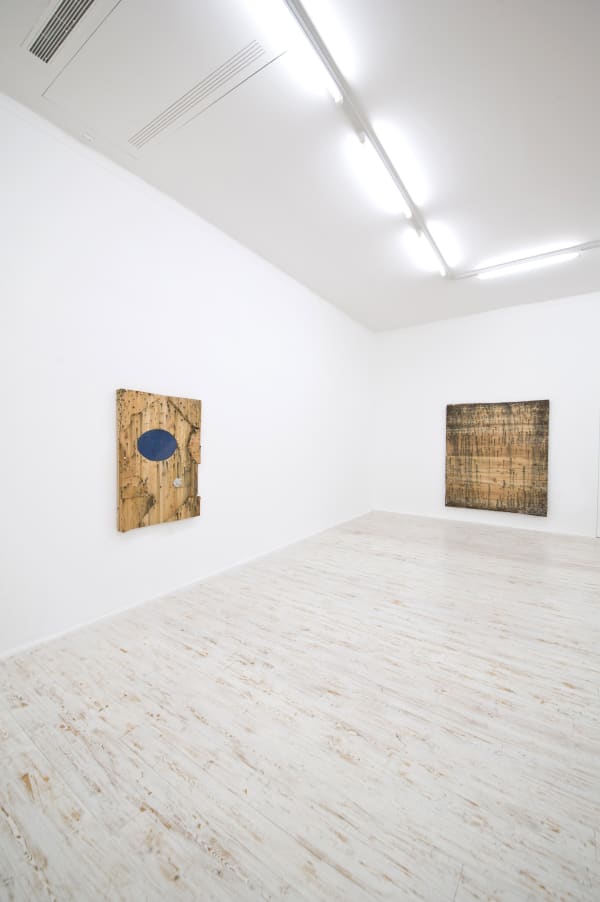 2013 Grayson Revoir Thomas Brambilla Installation View 1