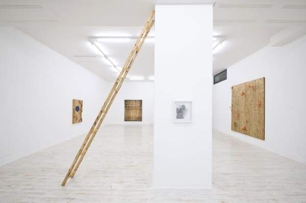 2013 Grayson Revoir Thomas Brambilla Installation View 6