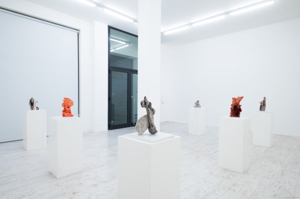 Matteozanardi Dsc 7407