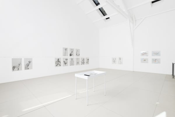 Adv 2019 Alina Bliumis 001