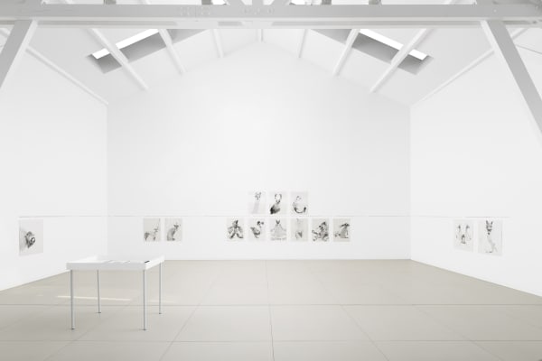 Adv 2019 Alina Bliumis 006