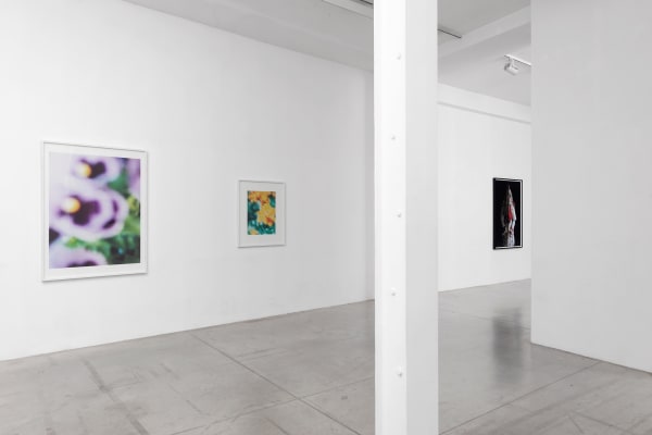 Adv 2017 Iwajla Klinke 012