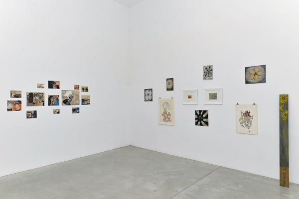 Adv 2017 Barcelo Bontempo Uman 023