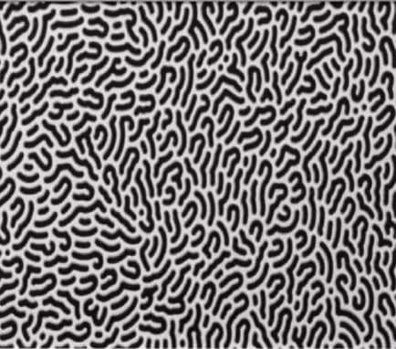 Lefty Out There - TOPO, 2022