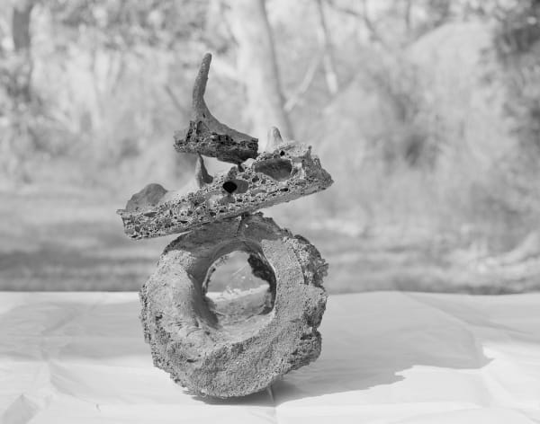 Basalt Blocks from Base of Lava Tree, Volcano Village, Hawai'i, 2011 Selenium Toned Silver Gelatin Print, 16x20" Edition of Three