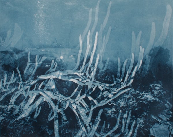 Rope Sponge Multiple, Barbados, 2014 Photogravure on Hahnemühle Copperplate Paper Size 20x23", Plate Size 13x16.5" Edition of 20 Printed by Lothar Osterburg in 2025