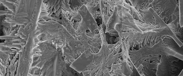 SEM Images of Hawaiian Basalt, Royal Holloway, University of London SEM lab, 2004 Archival Pigment Print on Moab Entrada Rag, 16x20" Edition of Three