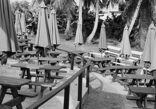 Farmer's Market, Brighton Farm, St. George, Barbados, 2023 Selenium Toned Silver Gelatin Print, 16x20" Archival Pigment Print on Moab Entrada Rag, 17x21" Edition of Three